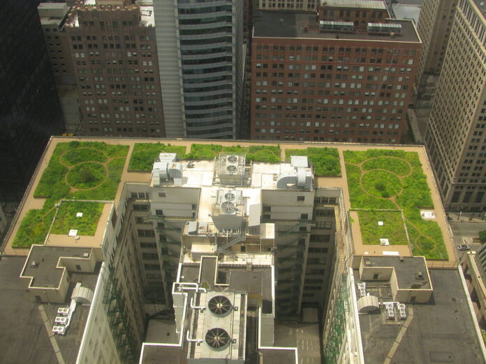 Chicago City Hall green roof